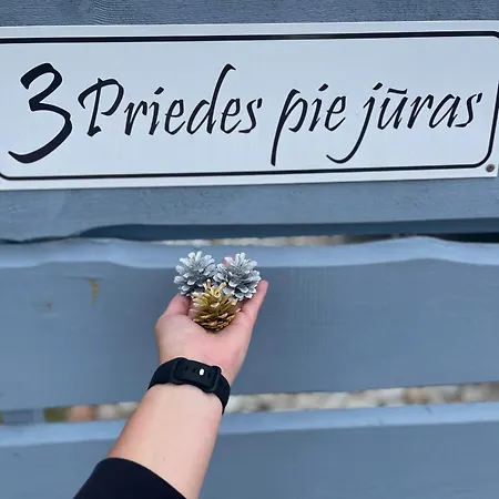 3priedes Pie Juras * Skede